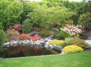 Pond3