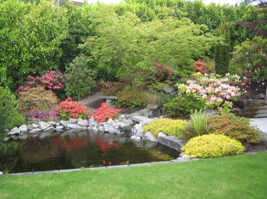 Pond3